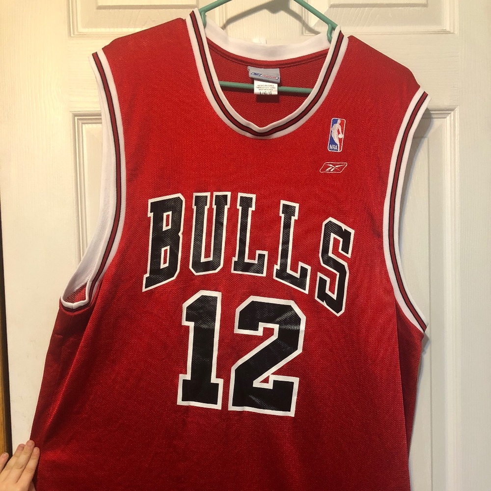 NBA BASKETBALL Jersey Kirk Hinrich No 12 (lg)